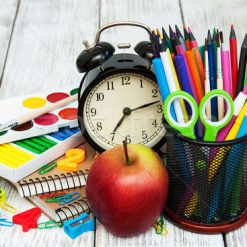 MATERIALE DIDACTICE